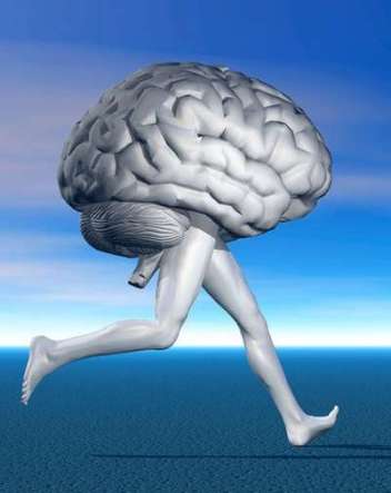 actividad-fisica-importante-mantener-cerebro_OLEIMA20121127_0073_17