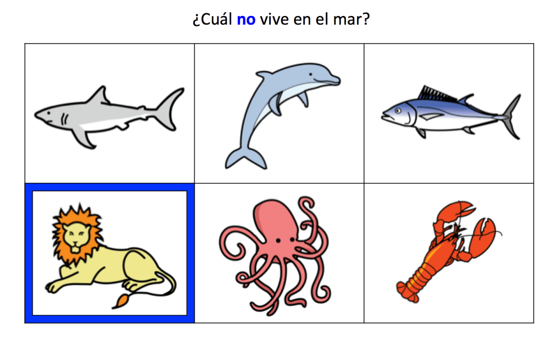 Frases_negativas-Ej2