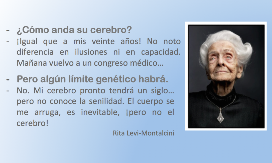Rita Levi-habla