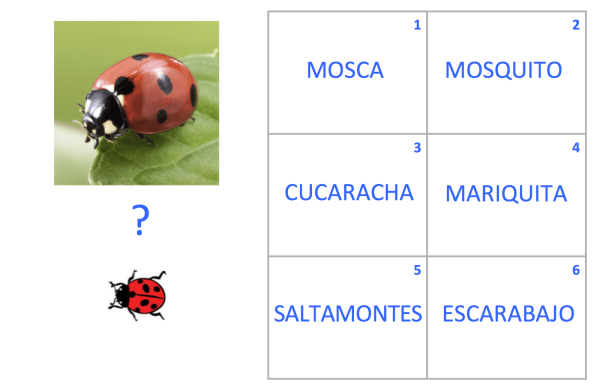 Voc Insect VOC-insectos-Ej3 – Un mar de palabras. Estimulación cognitiva.
