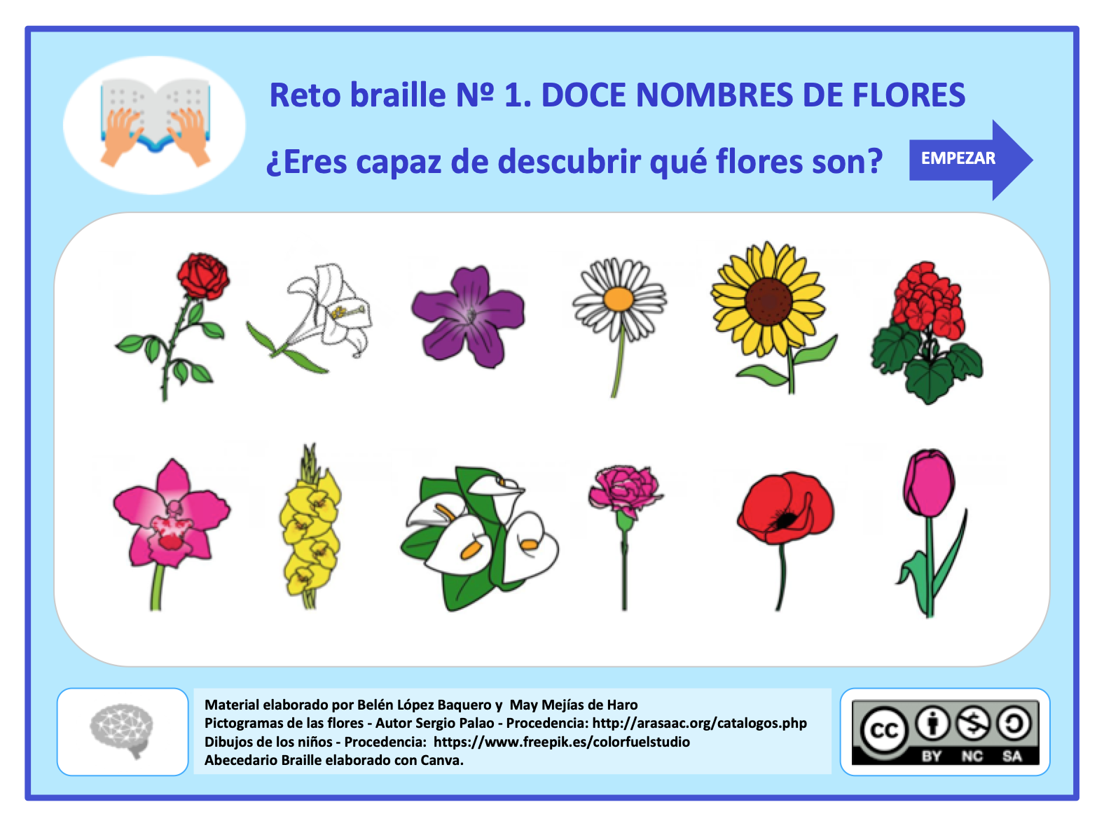 Reto braille Nº1 – 12 nombres de flores. – Un mar de palabras ...